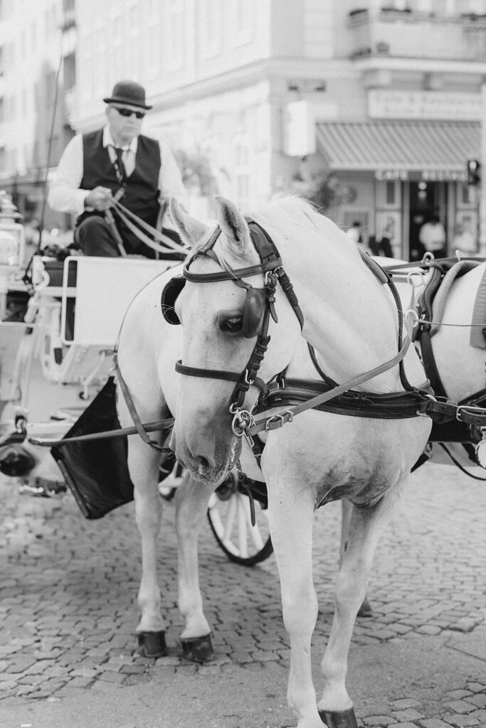 Horse carriage wedding Vienna city centre

